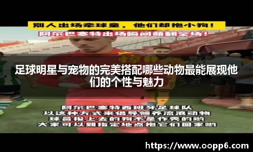 足球明星与宠物的完美搭配哪些动物最能展现他们的个性与魅力